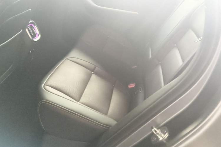 Used smart #3 2023 Pulse Four-Wheel Drive Edition Left Rear Seat