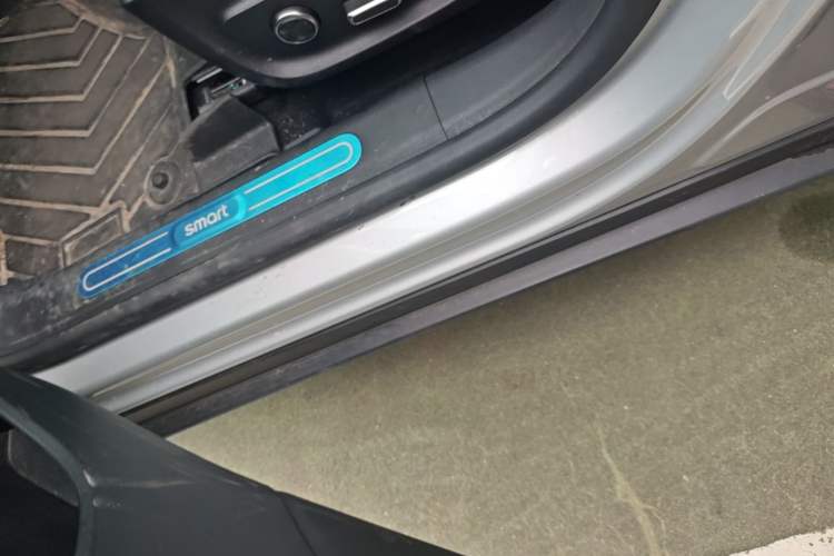Used smart #3 2023 Pro+ Edition Left Side Sill