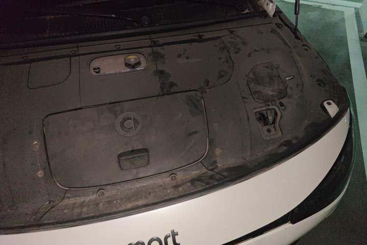 Used smart #3 2023 Pulse Four-Wheel Drive Edition Engine Bay Left