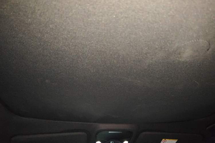 Used smart #3 2023 Pulse Four-Wheel Drive Edition Headliner