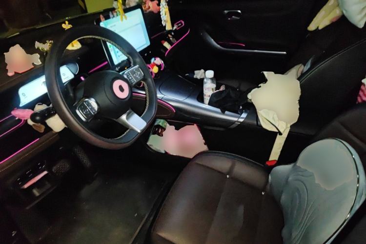 Used smart #3 2023 Pulse Four-Wheel Drive Edition Left Front Seat