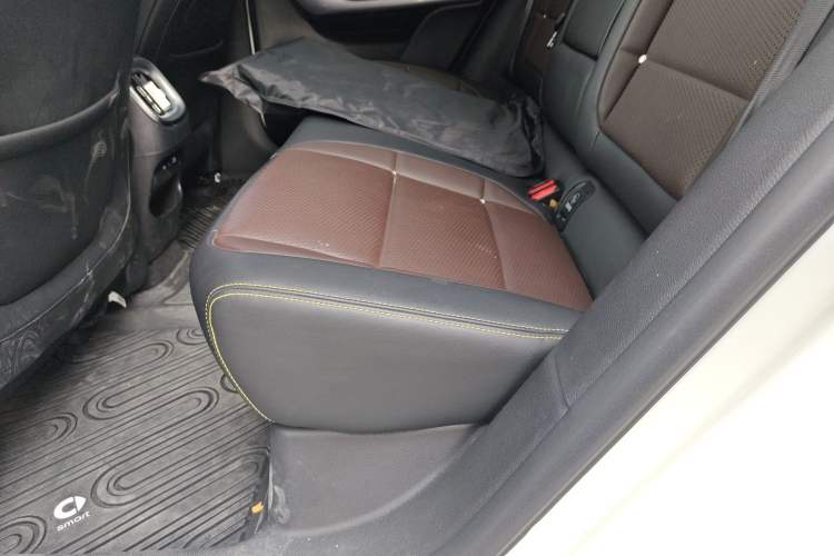 Used smart #3 2023 Pulse Four-Wheel Drive Edition Left Rear Seat