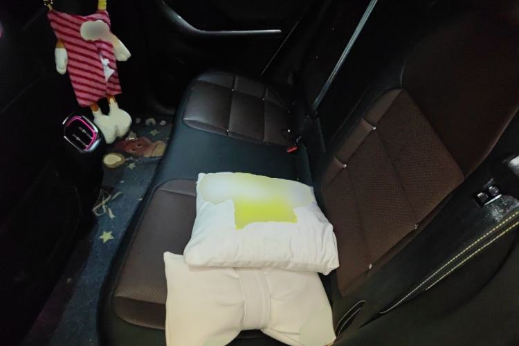 Used smart #3 2023 Pulse Four-Wheel Drive Edition Left Rear Seat