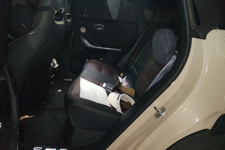 Used smart #3 2023 Pulse Four-Wheel Drive Edition Left Rear Seat