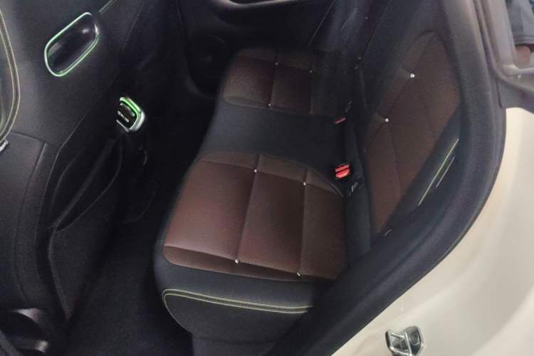 Used smart #3 2023 Pulse Four-Wheel Drive Edition Left Rear Seat
