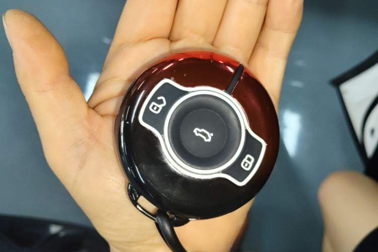 Used smart #3 2023 Pulse Four-Wheel Drive Edition Vehicle Key