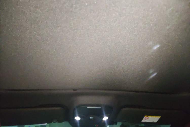 Used smart #3 2023 Pulse Four-Wheel Drive Edition Headliner