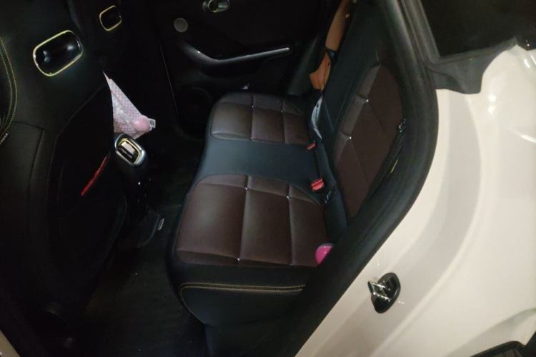Used smart #3 2023 Pulse Four-Wheel Drive Edition Left Rear Seat