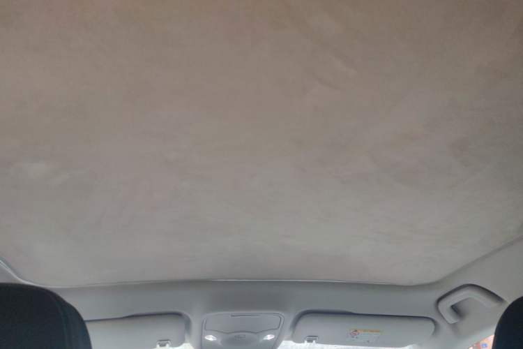 Used smart #3 2024 Dynamic Standard Edition Headliner