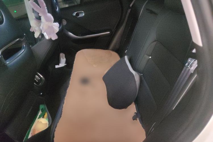 Used smart #3 2024 Dynamic Long-Range Edition Left Rear Seat