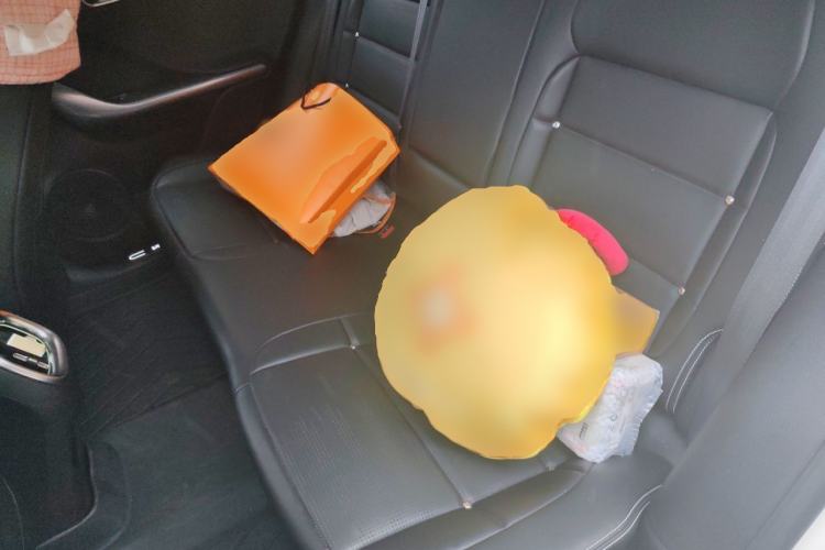 Used smart #3 2024 Dynamic Standard Edition Left Rear Seat