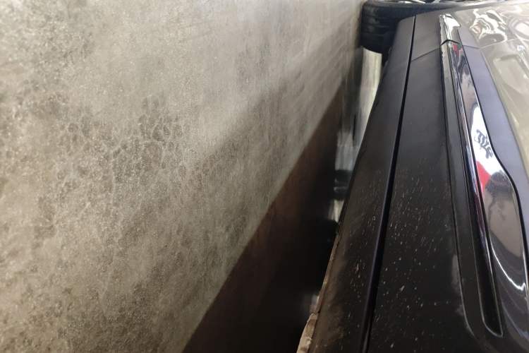 Used smart #3 2024 Dynamic Standard Edition Right Side Sill