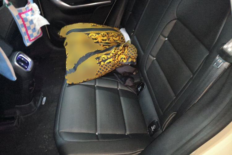Used smart #3 2026 Model Xingdong Standard Edition Left Rear Seat