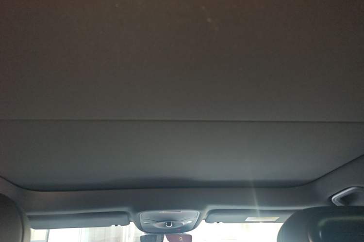 Used smart #5 2024 Ultra-Long Range Extraordinary Journey Luxury Edition Headliner