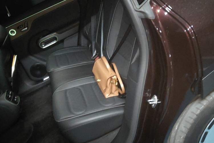 Used smart #5 2024 Long-Range Journey Luxury Edition Left Rear Seat