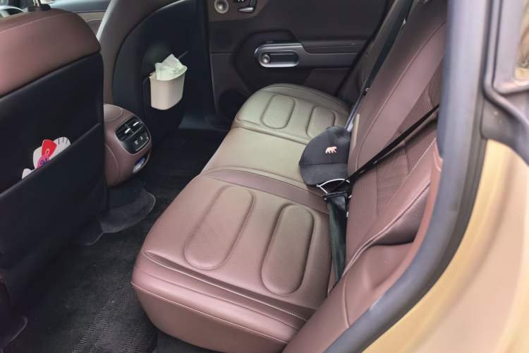 Used smart #5 2024 Ultra-Long Range Extraordinary Journey Luxury Edition Left Rear Seat
