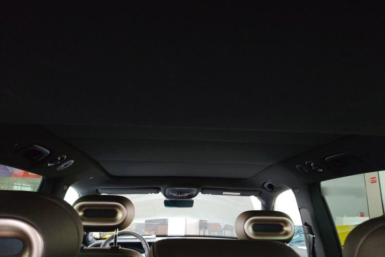 Used smart #5 2024 Jungle Realm Limited Edition Headliner