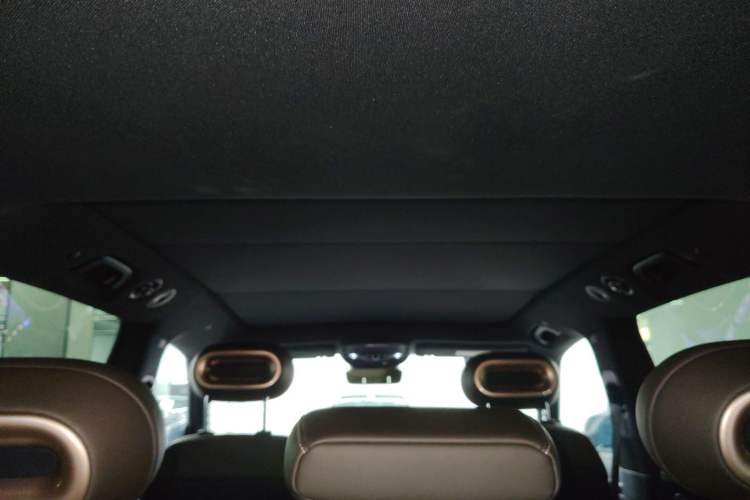 Used smart #5 2024 Jungle Realm Limited Edition Headliner