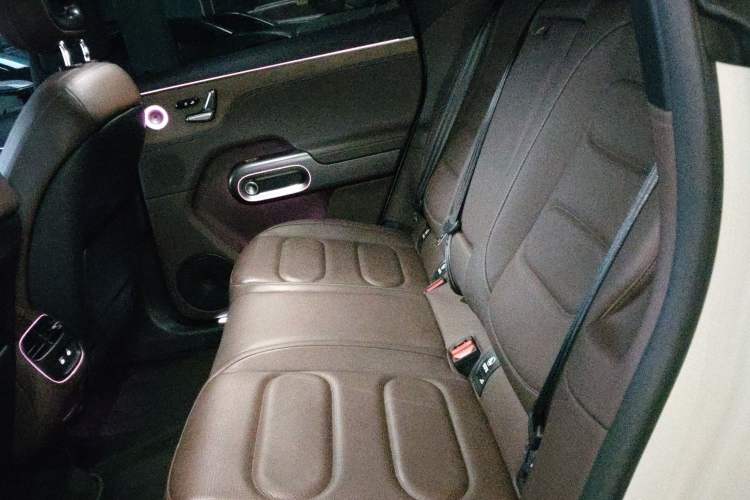 Used smart #5 2024 Ultra-Long Range Extraordinary Journey Luxury Edition Interior 4