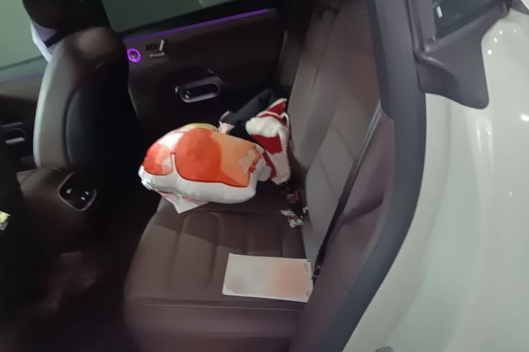 Used smart #5 2024 Long-Range Journey Luxury Edition Left Rear Seat