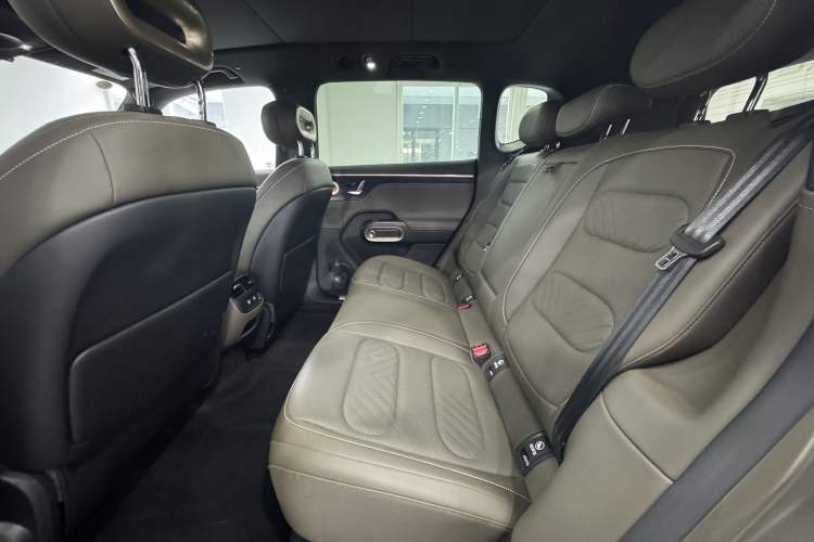 Used smart #5 2024 Jungle Realm Limited Edition Left Rear Seat