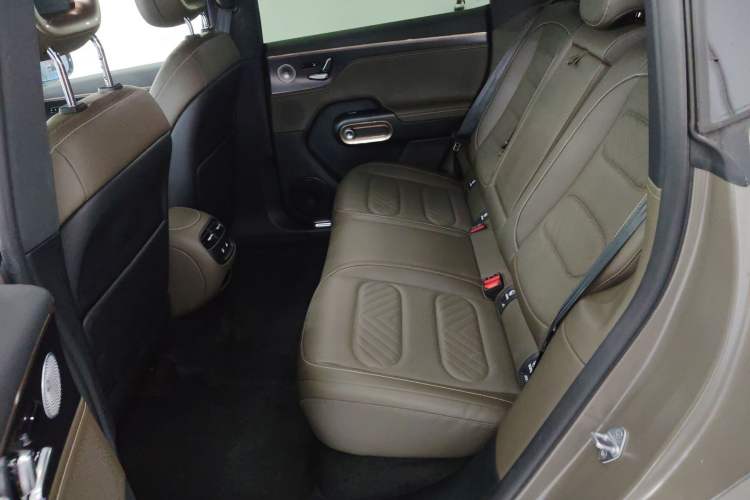 Used smart #5 2024 Jungle Realm Limited Edition Left Rear Seat