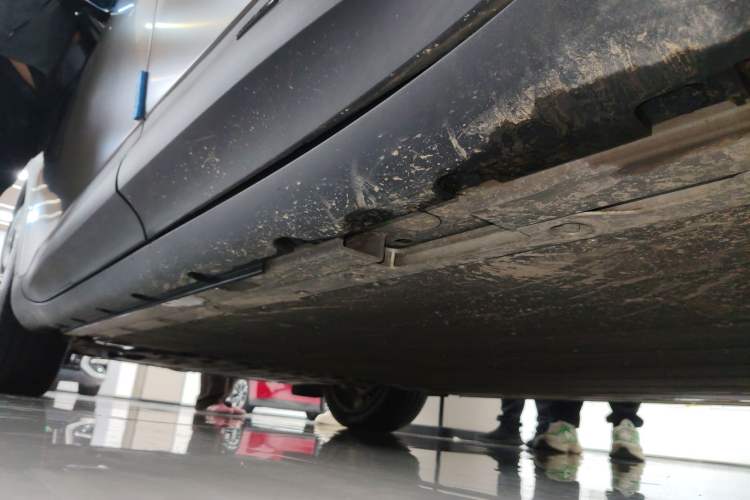 Used smart #5 2024 Jungle Realm Limited Edition Left Side Sill