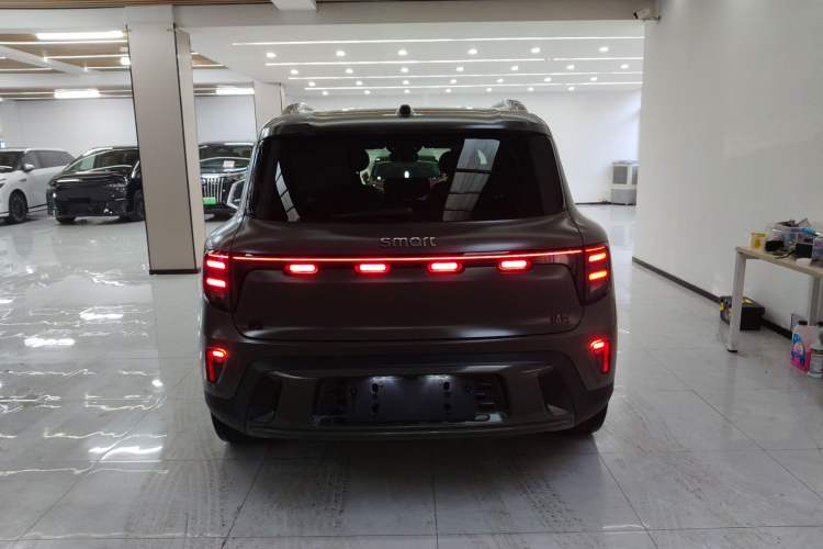 Used smart #5 2024 Jungle Realm Limited Edition Rear