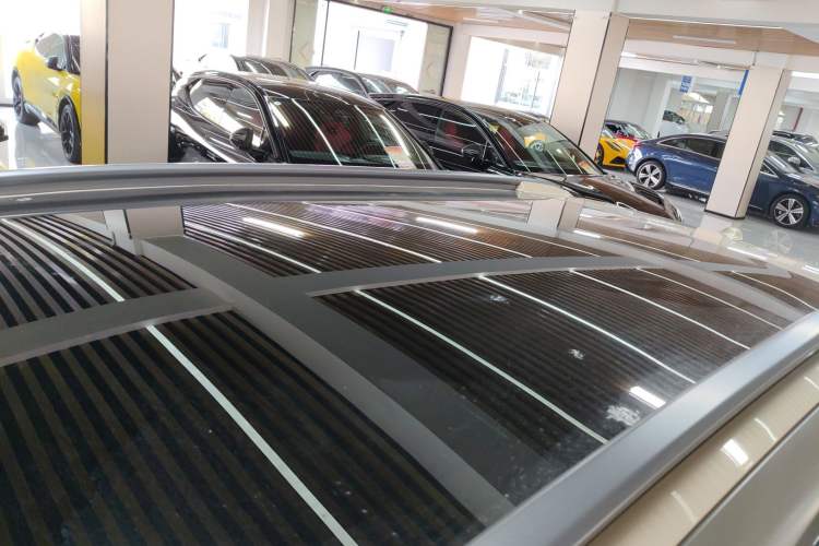 Used smart #5 2024 Jungle Realm Limited Edition Roof