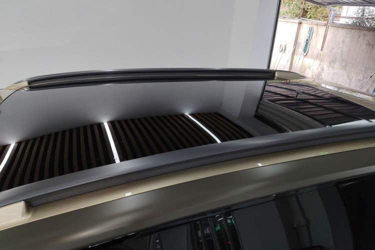 Used smart #5 2024 Jungle Realm Limited Edition Roof