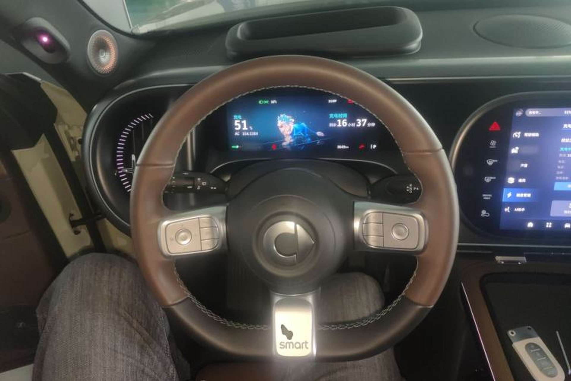 Used smart #5 2024 Ultra-Long Range Extraordinary Journey Luxury Edition Steering Wheel