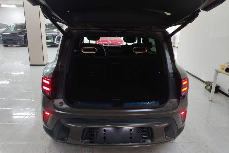 Used smart #5 2024 Jungle Realm Limited Edition Trunk