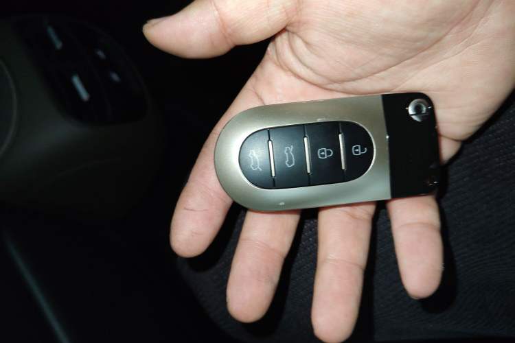 Used smart #5 2024 Jungle Realm Limited Edition Vehicle Key