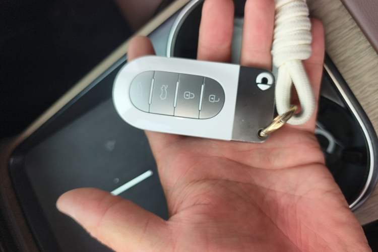 Used smart #5 2024 Long-Range Journey Luxury Edition Vehicle Key