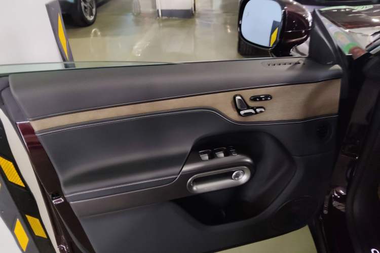 Used smart #5 2024 Ultra-Long Range Extraordinary Journey Luxury Edition Left Front Door Interior