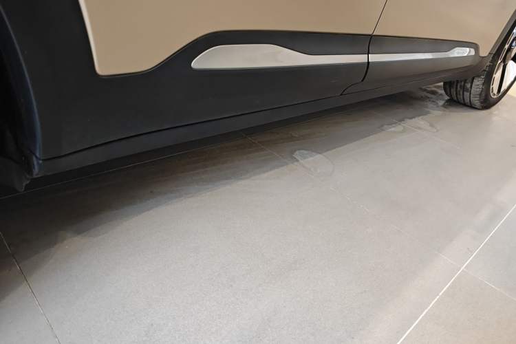 Used smart #5 2024 Ultra-Long Range Extraordinary Journey Luxury Edition Right Side Sill