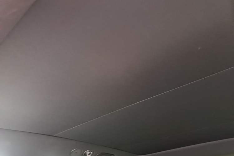 Used smart #5 2025 Ultra-Long Range Luxury Four-Wheel Drive Edition Headliner