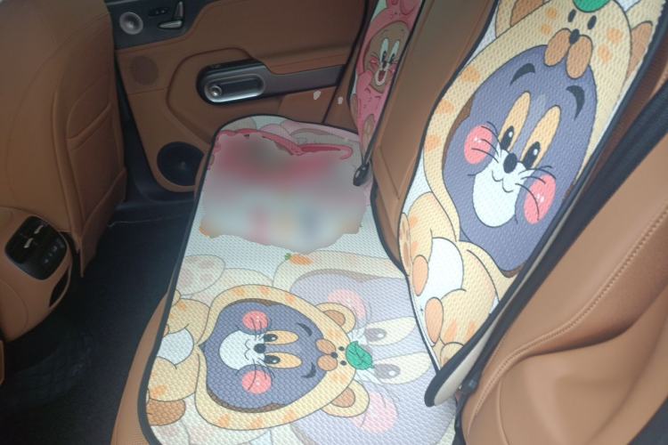 Used smart #5 2026 Model 252 Max Left Rear Seat