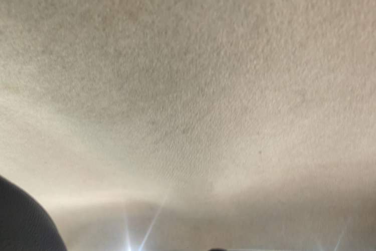 Used smart forfour 2016 1.0L 52 kW Dynamic Edition Headliner