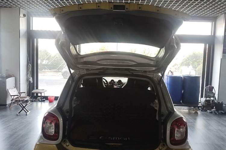 Used smart forfour 2016 0.9T 66 kW Pioneer Edition Trunk