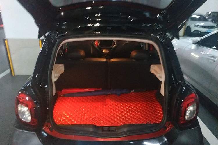 Used smart forfour 2018 1.0L 52kW Passion Edition Trunk