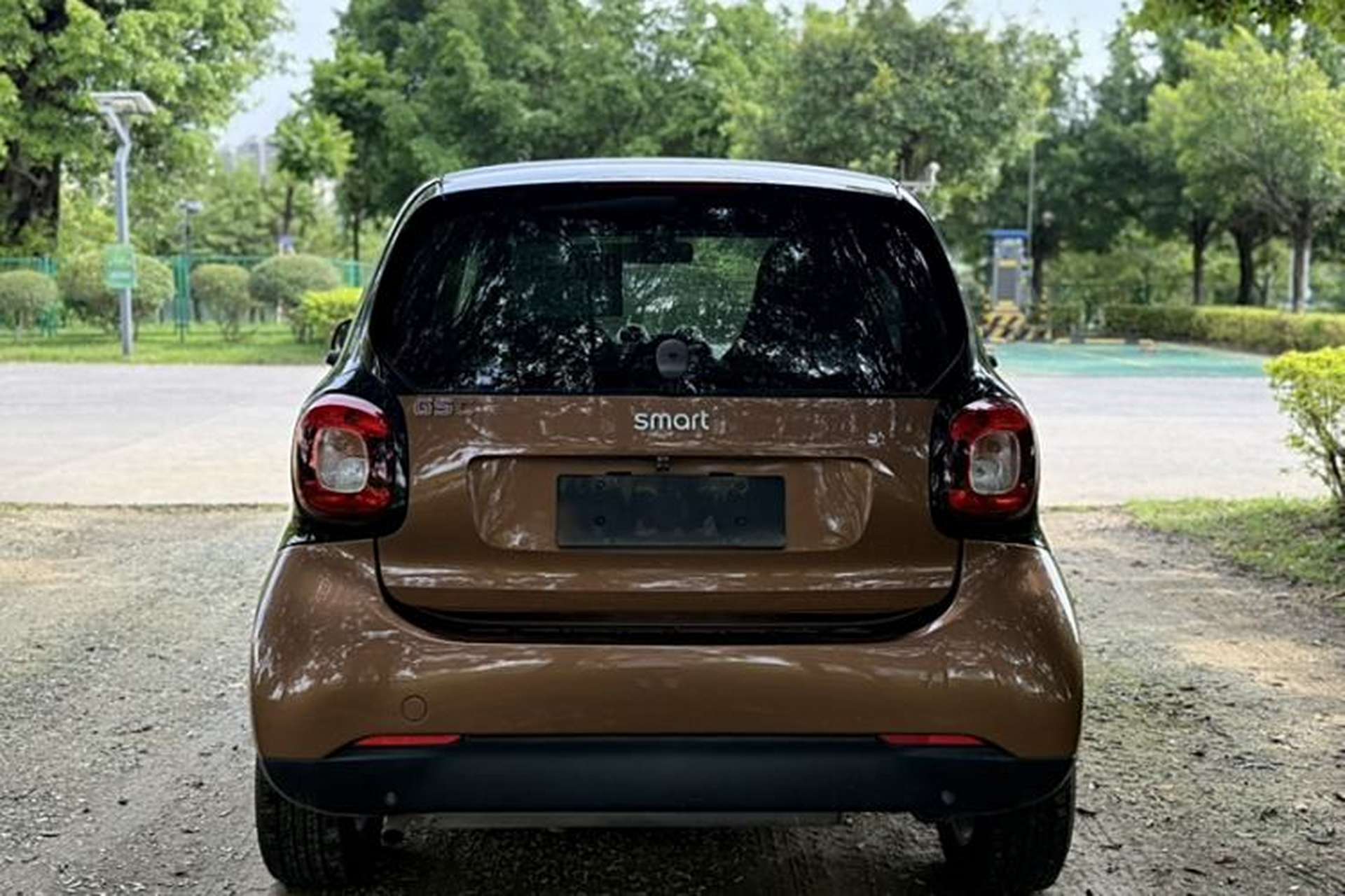 Used smart fortwo 2015 1.0L 52 kW hardtop Dynamic version Exterior 5