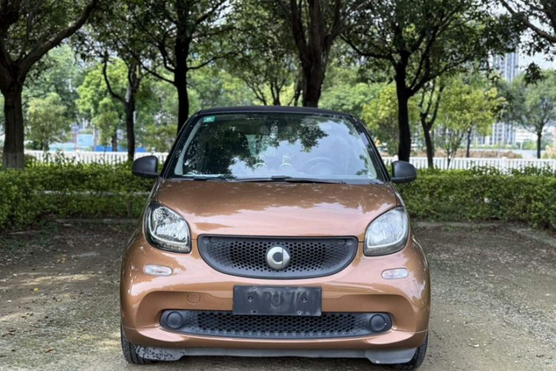 Used smart fortwo 2015 1.0L 52 kW hardtop Dynamic version Exterior 6