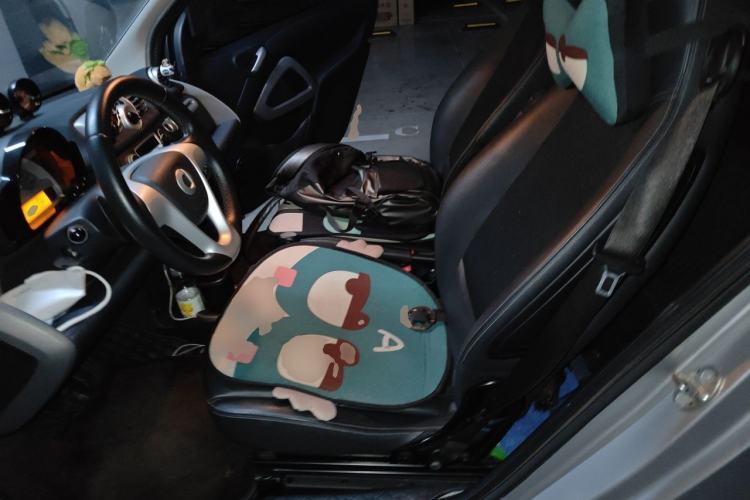 Used smart fortwo 2011 1.0T Year of the Rabbit Special Edition Left Front Seat