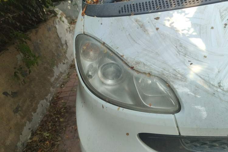 Used smart fortwo 2011 1.0T Convertible Passion Edition Right Front Headlight