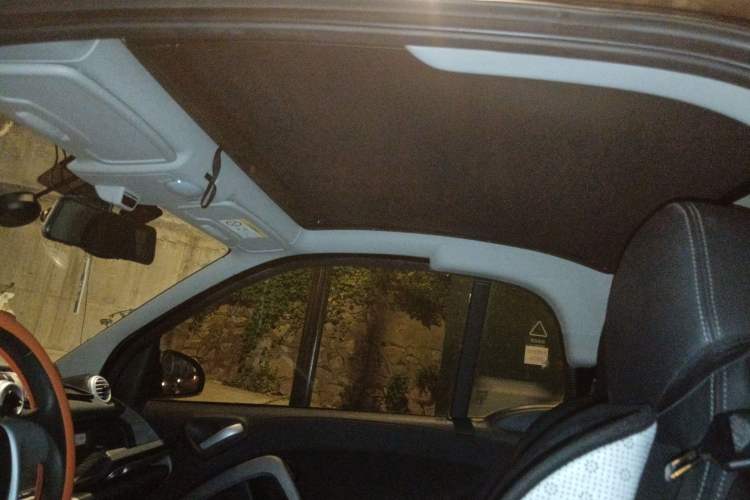Used smart fortwo 2013 1.0T Hardtop Passion Edition Headliner
