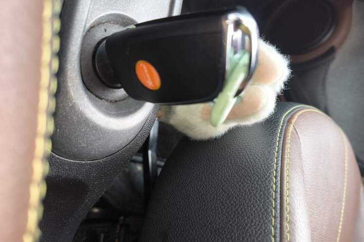 Used smart fortwo 2013 1.0 MHD New Year Special Edition Vehicle Key