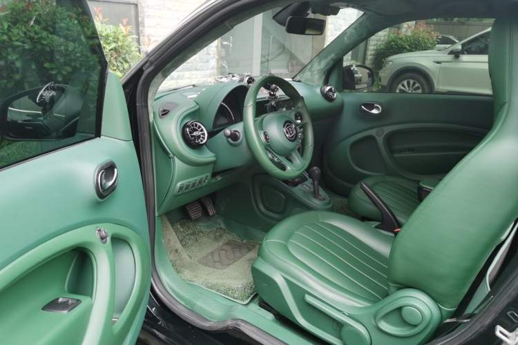 Used smart fortwo 2015 1.0L 52 kW Hardtop Passion Edition Driver Seat