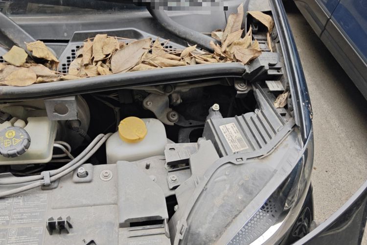 Used smart fortwo 2015 1.0L 52 kW Hardtop Passion Edition Engine Bay Left