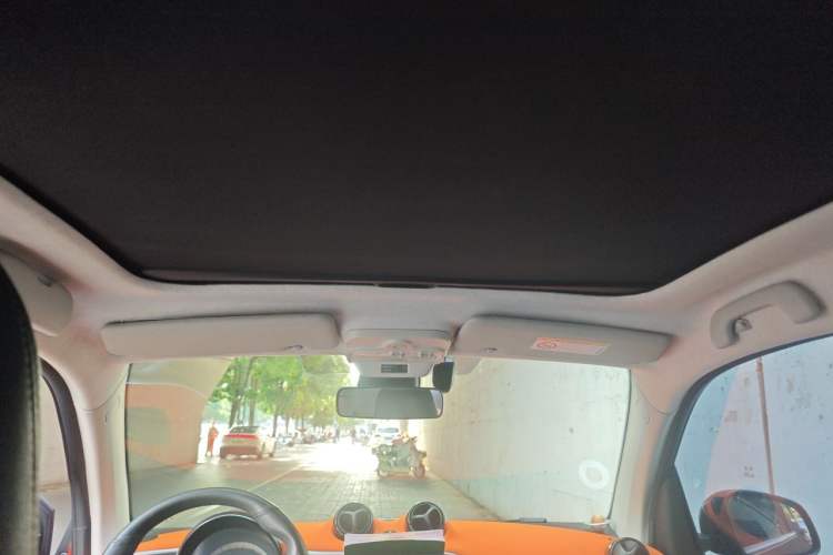 Used smart fortwo 2015 1.0L 52 kW Hardtop Passion Edition Headliner